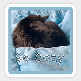 So Cozy Sticker